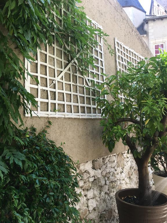 Maison Josephine Avec Garage Prive Блуа Экстерьер фото